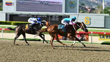 Linaje de clase en La Rinconada: La nieta del histórico Candy Ride vuelve tras 105 días de pausa Linaje de clase en La Rinconada: La nieta del histórico Candy Ride vuelve tras 105 días de pausa