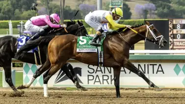 ¿Por qué Skippylongstocking no correrá el Santa Anita Handicap? Un problema serio lo deja fuera ¿Por qué Skippylongstocking no correrá el Santa Anita Handicap? Un problema serio lo deja fuera