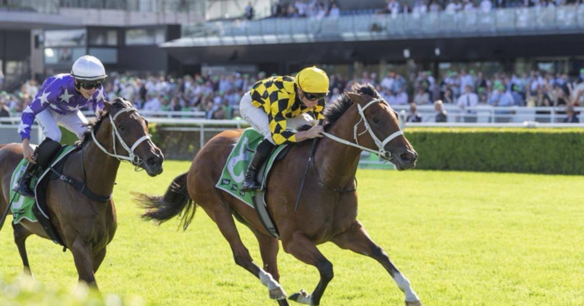 Perfecta 10-10: Autumn Glow iguala a la inmortal Black Caviar tras su ...