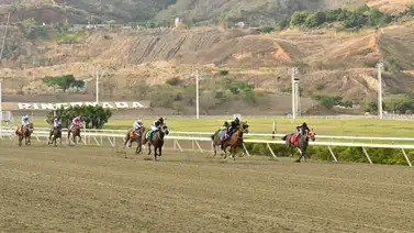 Reaparece nieto de Water Poet ahora con Antonio Bellardi en La Rinconada Reaparece nieto de Water Poet ahora con Antonio Bellardi en La Rinconada