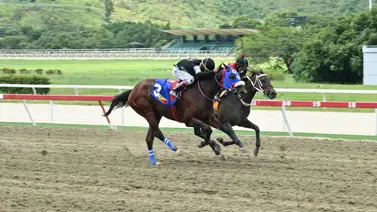 La claudicación en la mira: Los números que el fanático debe evaluar en la jornada de La Rinconada La claudicación en la mira: Los números que el fanático debe evaluar en la jornada de La Rinconada