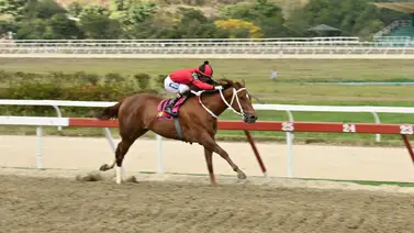 "154 días de misterio: La incógnita de su estado físico en el óvalo de Caracas” "154 días de misterio: La incógnita de su estado físico en el óvalo de Caracas”