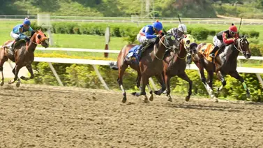 Sin gringolas y por la victoria: El ajuste estratégico que busca reivindicar a un castaño de alta clase en La Rinconada Sin gringolas y por la victoria: El ajuste estratégico que busca reivindicar a un castaño de alta clase en La Rinconada