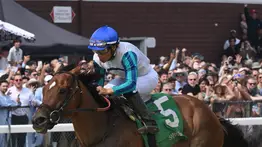 Purasangre ganador del Premio Eclipse no participará en la jornada del Dubai World Cup