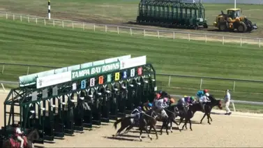 Tampa Bay Downs inicia la semana con dos Allowance de $55.000 este miércoles Tampa Bay Downs inicia la semana con dos Allowance de $55.000 este miércoles