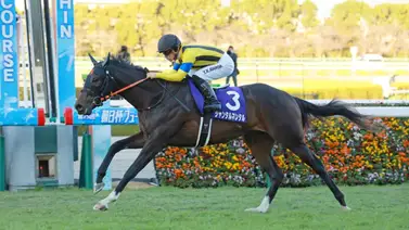Dubái pierde a Jantar Mantar y Masquerade Ball por tensiones en Medio Oriente Dubái pierde a Jantar Mantar y Masquerade Ball por tensiones en Medio Oriente
