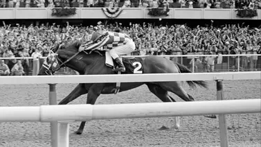 ¿Estarías dispuesto a pagar más de $3.000.000 por la silla que llevó a Secretariat a la Triple Corona? ¿Estarías dispuesto a pagar más de $3.000.000 por la silla que llevó a Secretariat a la Triple Corona?