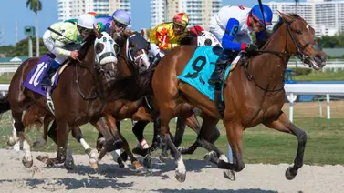 Guía para el apostador: Los aprontes y cambios de implementos clave este jueves en Gulfstream Park Guía para el apostador: Los aprontes y cambios de implementos clave este jueves en Gulfstream Park