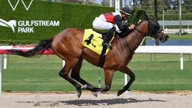 ¿Buscas un buen dividendo? El "Tendón" Pérez y un 8-1 con aroma a sorpresa en Gulfstream Park ¿Buscas un buen dividendo? El "Tendón" Pérez y un 8-1 con aroma a sorpresa en Gulfstream Park