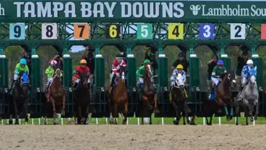 Invasión criolla: El Top 5 de la estadística en Tampa Bay Downs es totalmente venezolano Invasión criolla: El Top 5 de la estadística en Tampa Bay Downs es totalmente venezolano