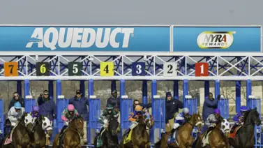 La entrenadora Amelia Green buscará esta hazaña en su carrera profesional en el Gander Stakes de $135,000 del sábado La entrenadora Amelia Green buscará esta hazaña en su carrera profesional en el Gander Stakes de $135,000 del sábado