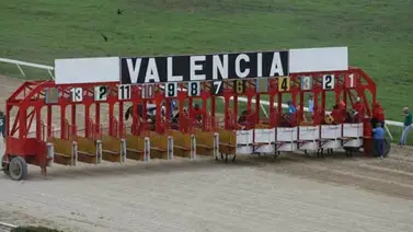 Estos son los retirados de la Reunión N°6 en el hipódromo de Valencia para el sábado 7-3-2026 Estos son los retirados de la Reunión N°6 en el hipódromo de Valencia para el sábado 7-3-2026