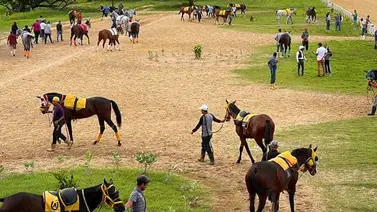 ¡Mucha atención con esto! Hinava confirma el retiro de uno de los favoritos para la segunda válida de este sábado ¡Mucha atención con esto! Hinava confirma el retiro de uno de los favoritos para la segunda válida de este sábado