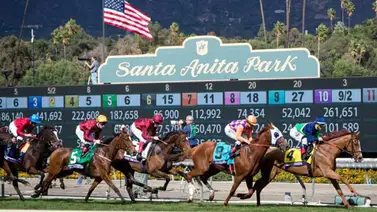 ¿Cuál es el nuevo favorito del Santa Anita Handicap tras el retiro de Skippylongstocking? ¿Cuál es el nuevo favorito del Santa Anita Handicap tras el retiro de Skippylongstocking?