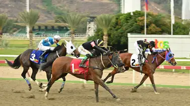 Pronóstico a la vista: Con el ajuste de la gran opción de Gaceta Hípica asegurará el triunfo en el 5y6 de La Rinconada Pronóstico a la vista: Con el ajuste de la gran opción de Gaceta Hípica asegurará el triunfo en el 5y6 de La Rinconada