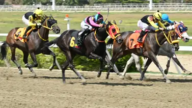 Acierto imperdible: Así como ajustó la línea de Gaceta Hípica podrá ser la base para definir con victoria en el 5y6 dominical Acierto imperdible: Así como ajustó la línea de Gaceta Hípica podrá ser la base para definir con victoria en el 5y6 dominical