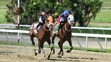 ¿No la viste? Mira cómo quedó el ajuste de la sorpresa de Gaceta Hípica por lo que podrá lograr un buen dividendo para la jornada del 5y6 ¿No la viste? Mira cómo quedó el ajuste de la sorpresa de Gaceta Hípica por lo que podrá lograr un buen dividendo para la jornada del 5y6