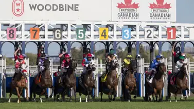 Woodbine anuncia más de $17 millones en premios para su temporada selectiva 2026 Woodbine anuncia más de $17 millones en premios para su temporada selectiva 2026