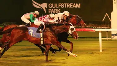 Pronósticos Gulfstream Park: picks gratis y el dato clave para el jueves 5 de marzo Pronósticos Gulfstream Park: picks gratis y el dato clave para el jueves 5 de marzo