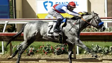 Duelo de titanes: el millonario Brant enfrenta al invicto So Happy en el San Felipe Stakes G2 de $200,000 en la ruta al Kentucky Derby G1 Duelo de titanes: el millonario Brant enfrenta al invicto So Happy en el San Felipe Stakes G2 de $200,000 en la ruta al Kentucky Derby G1