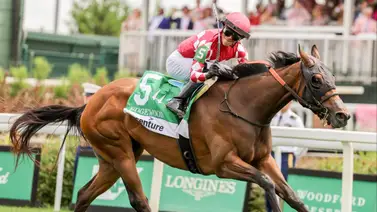 No pierde: La campeona de tres años regresa para un Stakes Grado 2 de $400,000 en este hipódromo en Estados Unidos No pierde: La campeona de tres años regresa para un Stakes Grado 2 de $400,000 en este hipódromo en Estados Unidos