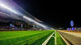 Nivel 3 de alerta en Emiratos Árabes pone en jaque la Dubai World Cup