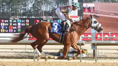 Virginia Derby 2026: 85 nominados buscan emular la hazaña de American Promise Virginia Derby 2026: 85 nominados buscan emular la hazaña de American Promise