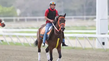 Luis Fúnez Jr. sentencia: "Conozco a la perfección a este ejemplar y vamos por el triunfo en el 5y6" Luis Fúnez Jr. sentencia: "Conozco a la perfección a este ejemplar y vamos por el triunfo en el 5y6"