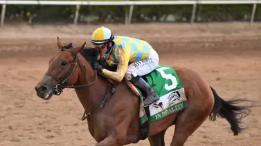 Sábado selectivo: Javier Castellano con cinco montas especiales en Tampa Bay Downs Sábado selectivo: Javier Castellano con cinco montas especiales en Tampa Bay Downs