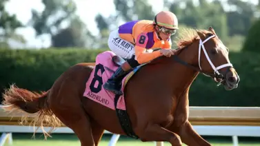 Further Ado encabeza el grupo de potros en el Tampa Bay Derby G3 en la ruta al Kentucky Derby G1 Further Ado encabeza el grupo de potros en el Tampa Bay Derby G3 en la ruta al Kentucky Derby G1