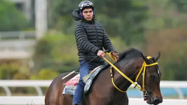 Mucha opción tiene Yamper González de reencontrarse con el recinto de ganadores de La Rinconada Mucha opción tiene Yamper González de reencontrarse con el recinto de ganadores de La Rinconada