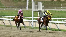 Entérate de la yegua que así como voló en su ajuste podrá derrotar a la fija en el Clásico Ana María Freudman (GIII)