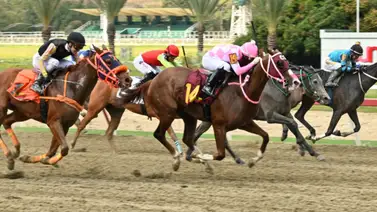 Pronósticos La Rinconada: Análisis profundo del dato más corrido para el 5y6 dominical Pronósticos La Rinconada: Análisis profundo del dato más corrido para el 5y6 dominical