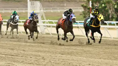 La Rinconada: El ejercicio que coloca al 99 a 1 como el gran peligro del 5y6 dominical La Rinconada: El ejercicio que coloca al 99 a 1 como el gran peligro del 5y6 dominical