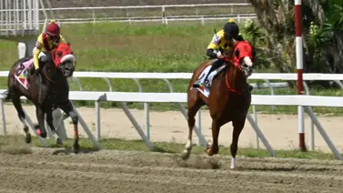 ¿Quieres ganar el 5y6? Este es el "robo de toda Venezuela" para blindar tu cuadro en la segunda válida ¿Quieres ganar el 5y6? Este es el "robo de toda Venezuela" para blindar tu cuadro en la segunda válida