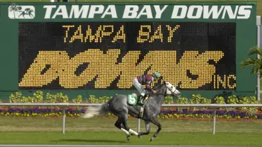 Cipriano Gil a un paso de batir su récord de victorias en Tampa Bay Downs Cipriano Gil a un paso de batir su récord de victorias en Tampa Bay Downs