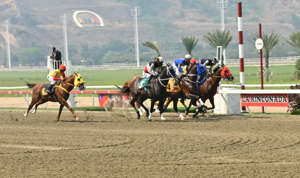 La Rinconada: Favoritos de la cátedra para el 5y6 Nacional de la reunión N°11