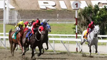 Fijos y potentes: Estos son los caballos con más proyección de triunfo en La Rinconada Fijos y potentes: Estos son los caballos con más proyección de triunfo en La Rinconada