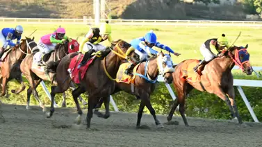 Un hecho sin precedente: Mira el dato curioso del "robo de toda Venezuela" con esta prueba selectiva de Grado III Un hecho sin precedente: Mira el dato curioso del "robo de toda Venezuela" con esta prueba selectiva de Grado III