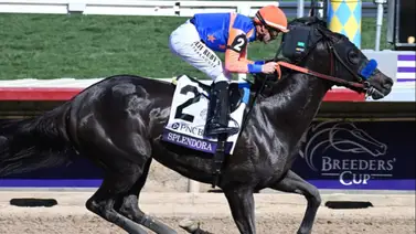 Es una fija: Entrenada por Bob Baffert lista para conquistar el Beholder Mile Stakes G1 en Santa Anita Park Es una fija: Entrenada por Bob Baffert lista para conquistar el Beholder Mile Stakes G1 en Santa Anita Park