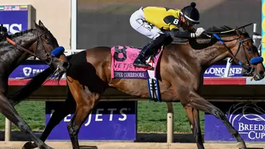 Kentucky Oaks: la campeona Super Corredora busca reivindicarse en el Santa Ysabel Stakes G3 en Santa Anita Park Kentucky Oaks: la campeona Super Corredora busca reivindicarse en el Santa Ysabel Stakes G3 en Santa Anita Park