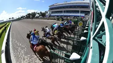 Pronósticos Gulfstream Park: picks gratis y el dato clave para el viernes 6 de marzo Pronósticos Gulfstream Park: picks gratis y el dato clave para el viernes 6 de marzo