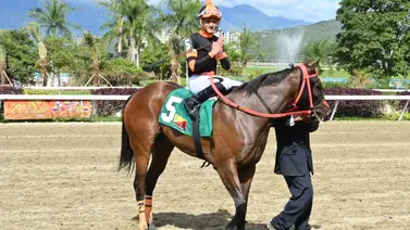 Princess Warrior a prueba: Los datos detrás de la gran favorita del Clásico Ana María Freudman (GIII) Princess Warrior a prueba: Los datos detrás de la gran favorita del Clásico Ana María Freudman (GIII)