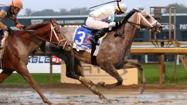 Saudi Crown reaparece con autoridad y domina en Oaklawn Park Saudi Crown reaparece con autoridad y domina en Oaklawn Park