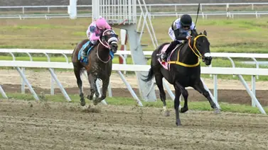 El ajuste de este ejemplar es como para repetir victoria en La Rinconada El ajuste de este ejemplar es como para repetir victoria en La Rinconada