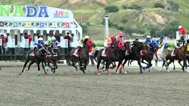 La Rinconada: Datos de Última Hora para el 08-03-2026 La Rinconada: Datos de Última Hora para el 08-03-2026