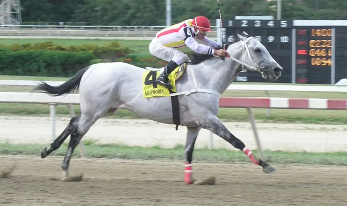 A dos décadas de la proeza: El legado vigente de Tutmosis en la arena de Coche