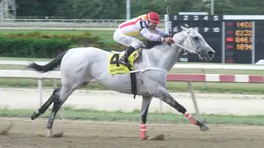 A dos décadas de la proeza: El legado vigente de Tutmosis en la arena de Coche A dos décadas de la proeza: El legado vigente de Tutmosis en la arena de Coche