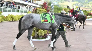 Guía estadística del 5y6: El reto de los favoritos frente a los números "fríos" de La Rinconada Guía estadística del 5y6: El reto de los favoritos frente a los números "fríos" de La Rinconada