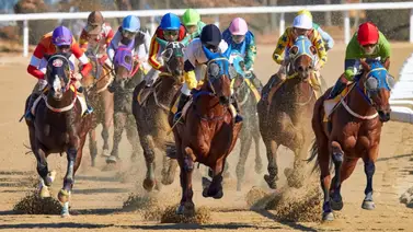 Del Tampa Bay Derby al Santa Anita Handicap: Los pronósticos imperdibles de Meridiano para el 7 de marzo Del Tampa Bay Derby al Santa Anita Handicap: Los pronósticos imperdibles de Meridiano para el 7 de marzo